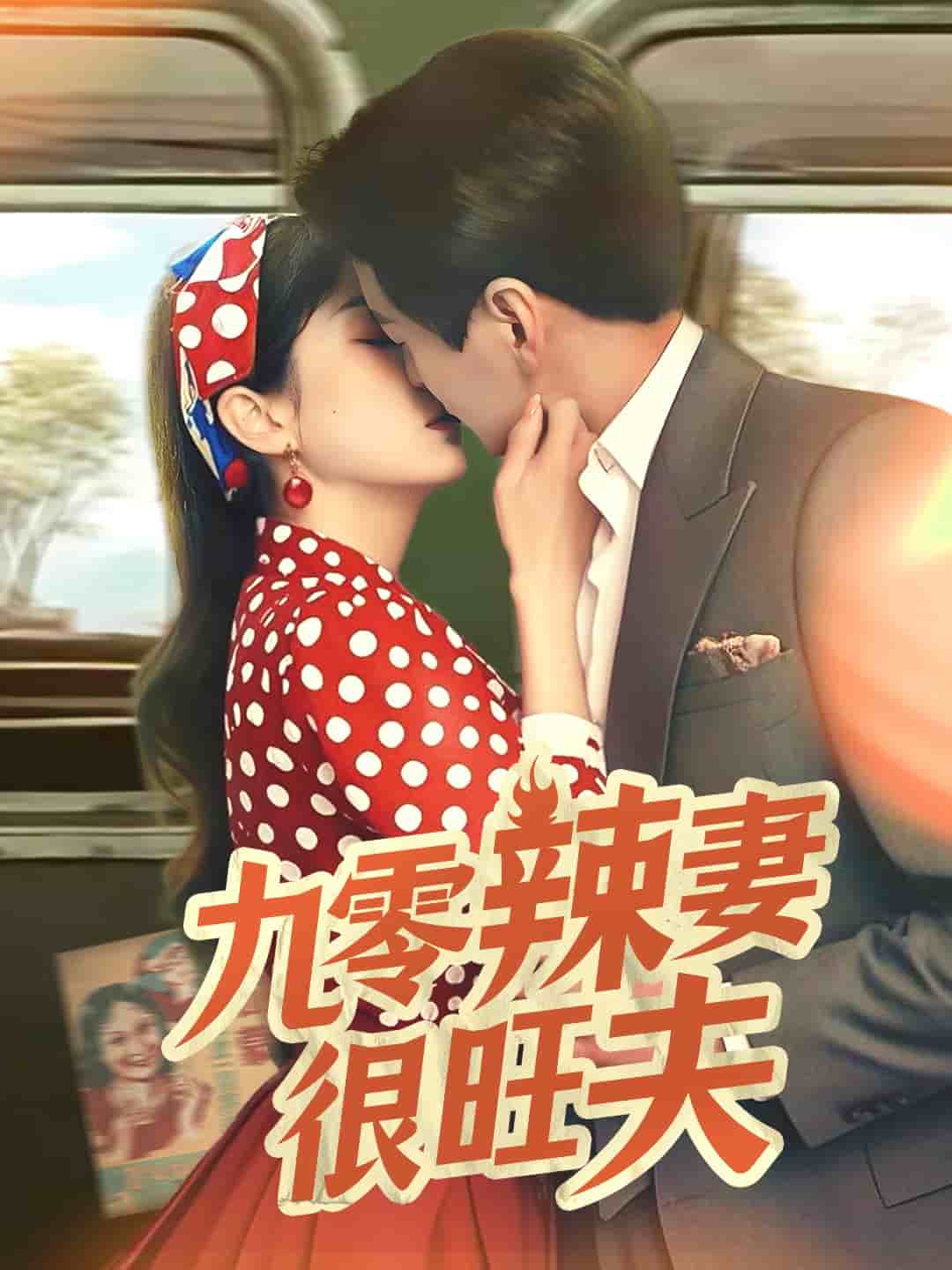 九零辣妻很旺夫海报