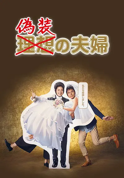 伪装夫妇2015海报