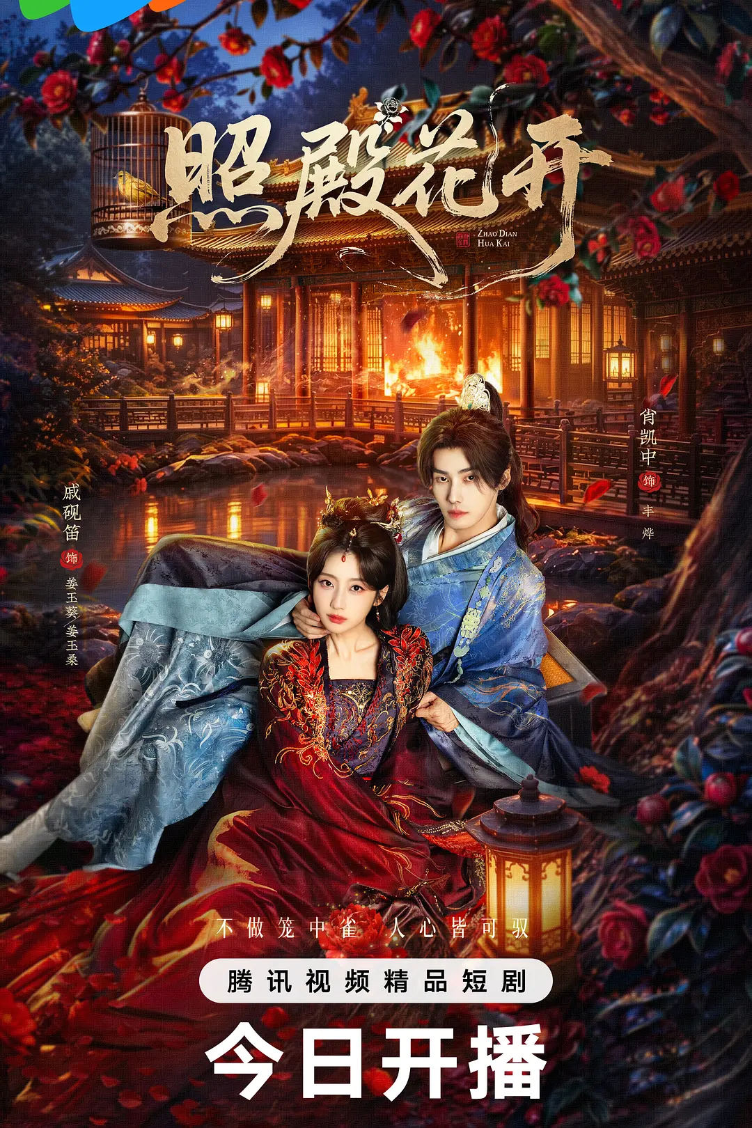 照殿花开海报
