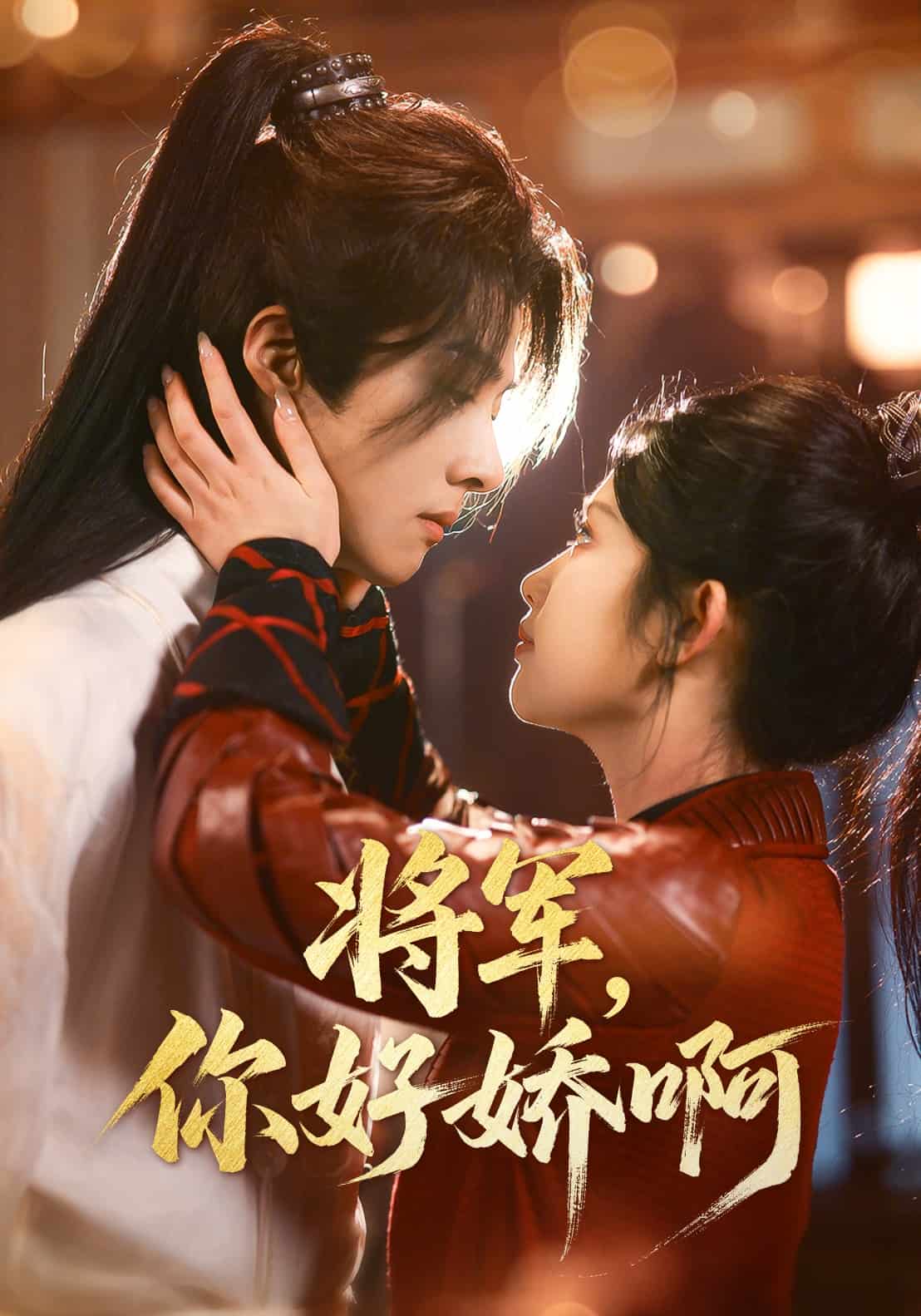 将军，你好娇啊海报