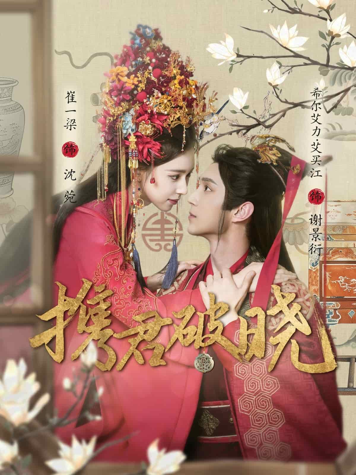 携君破晓海报