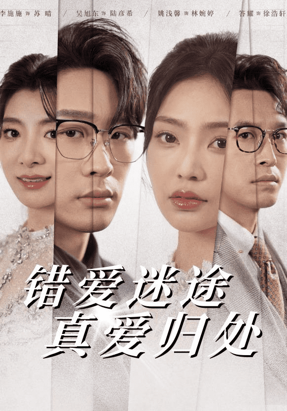 错爱迷途真爱归处海报