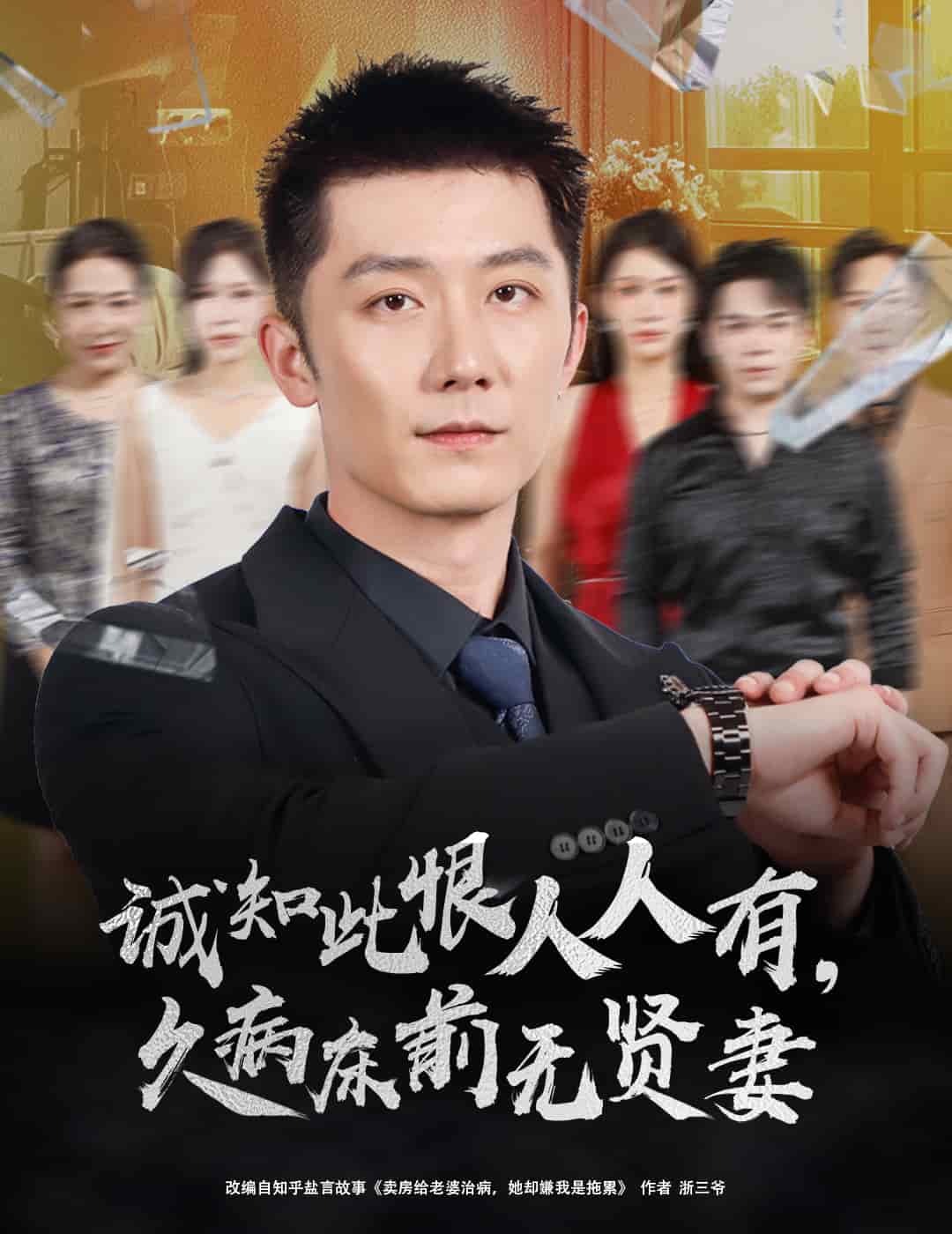 诚知此恨人人有久病床前无贤妻海报
