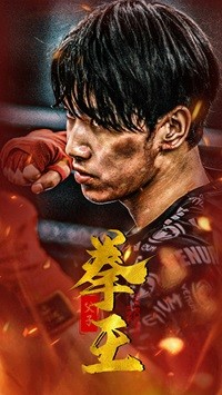 父子拳王海报