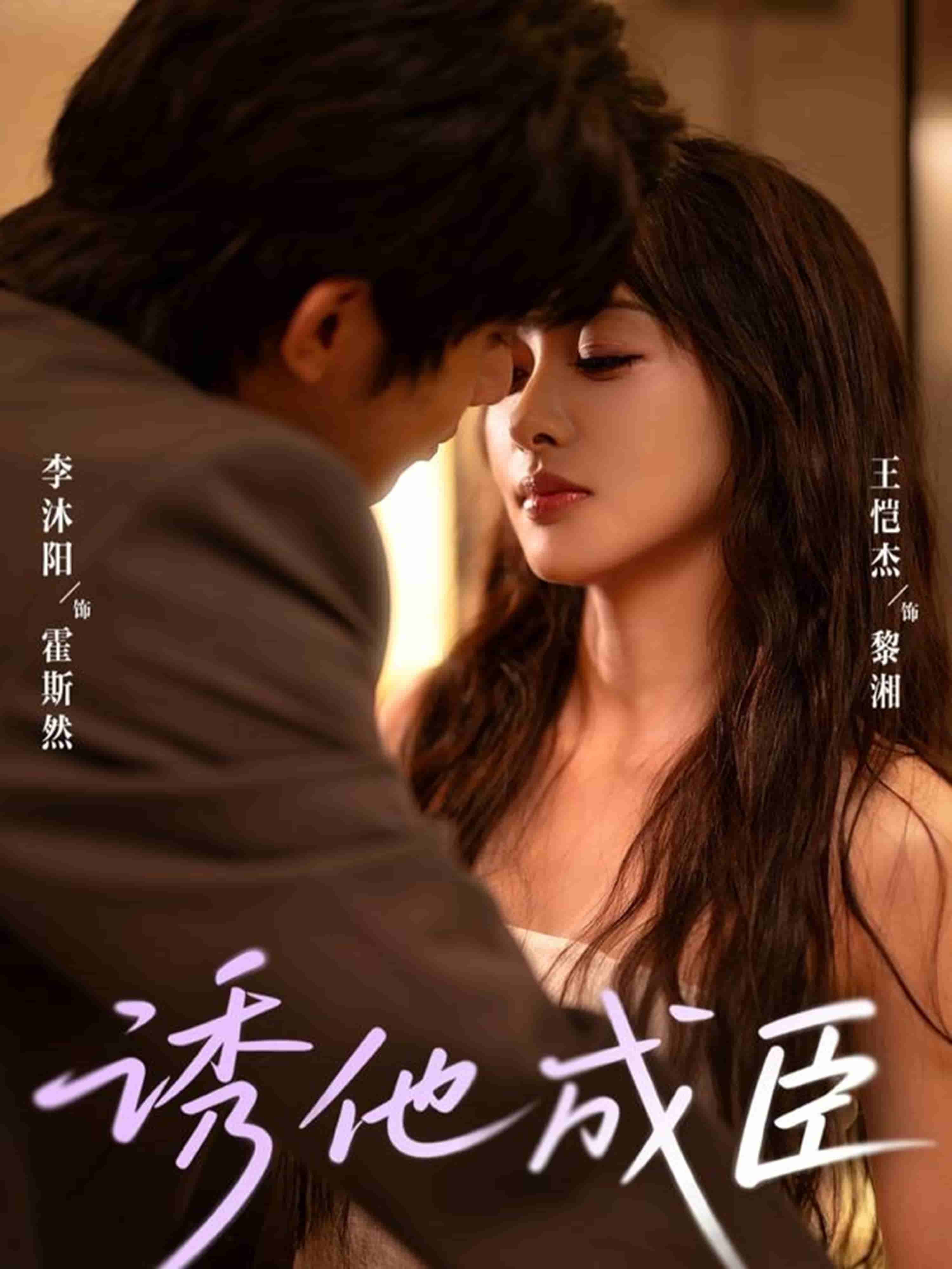 诱他成臣海报