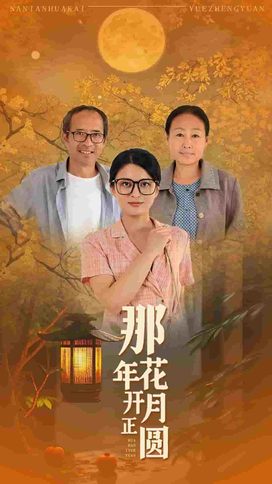 那年花开月正圆海报