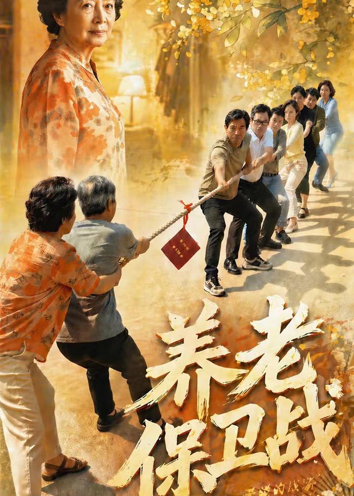 养老保卫战海报