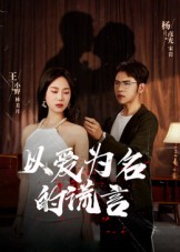 以爱为名的谎言海报