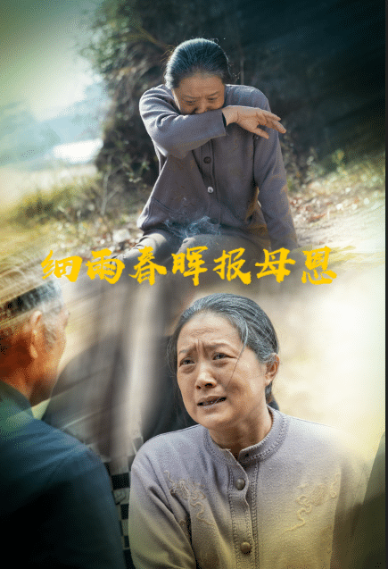 细雨春晖报母恩海报