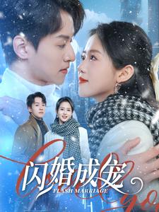 闪婚成宠海报