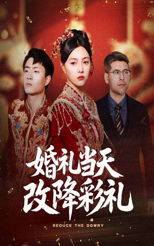 婚礼当天改降彩礼海报
