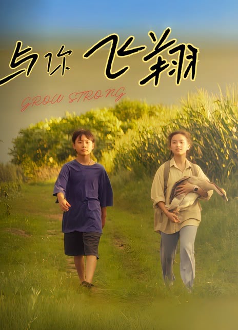与你飞翔海报