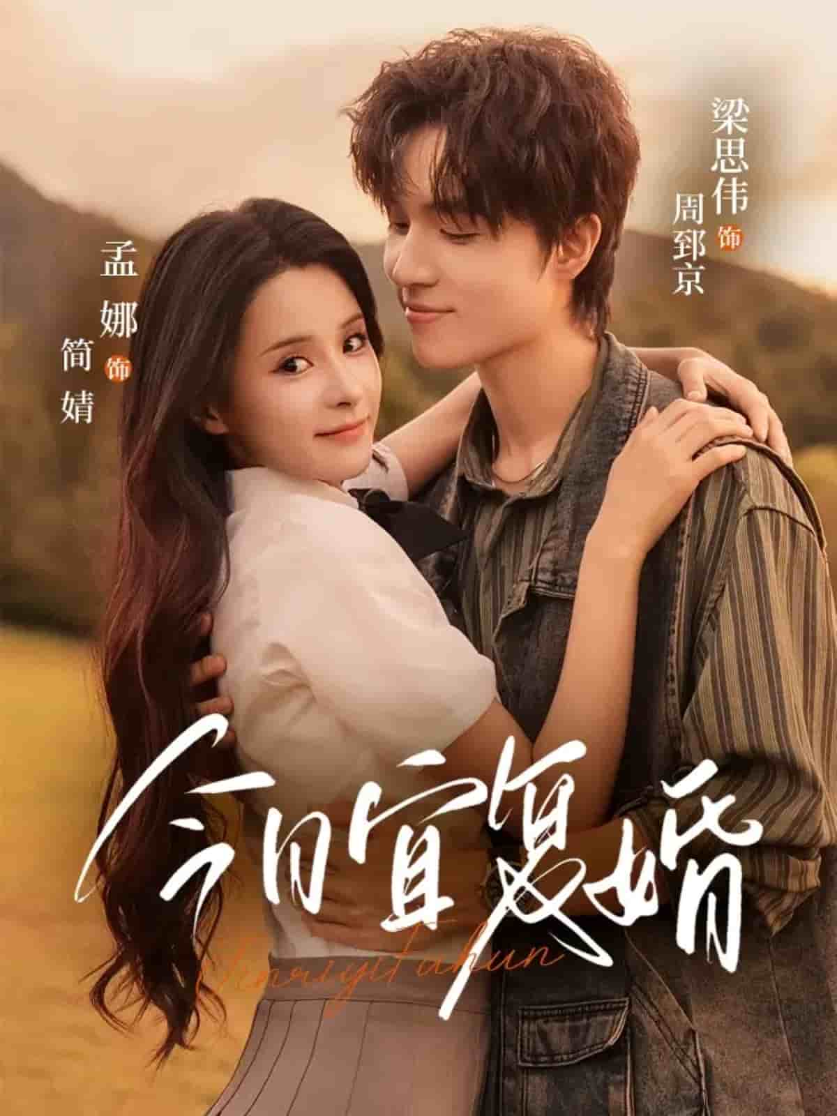 今日宜复婚海报