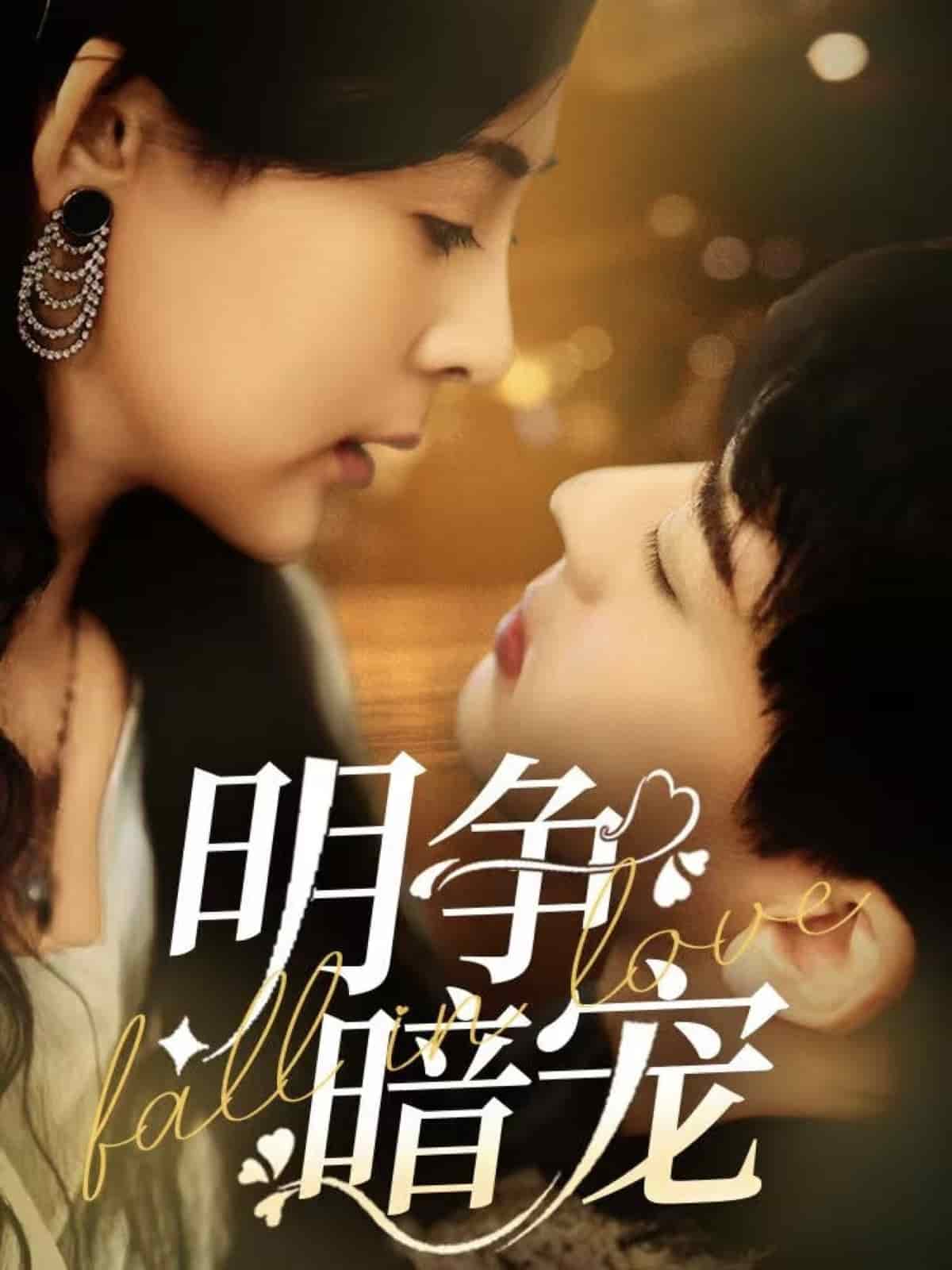 明争暗宠海报