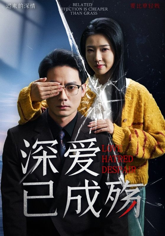深爱已成殇海报