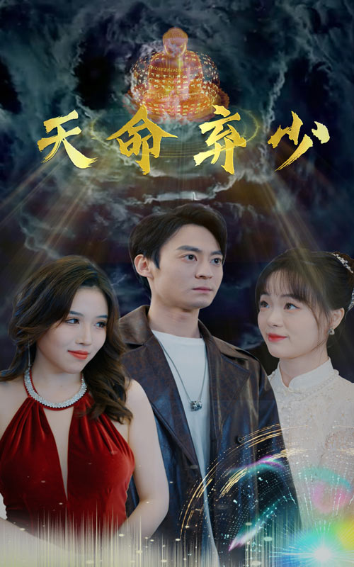 天命弃少海报