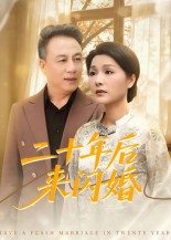 二十年后来闪婚海报