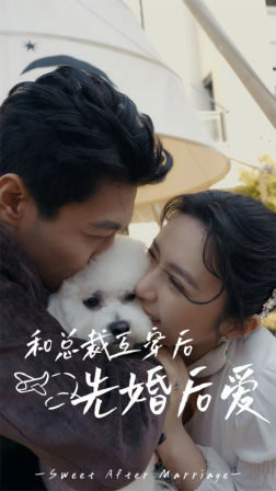 和总裁互穿后先婚后爱海报