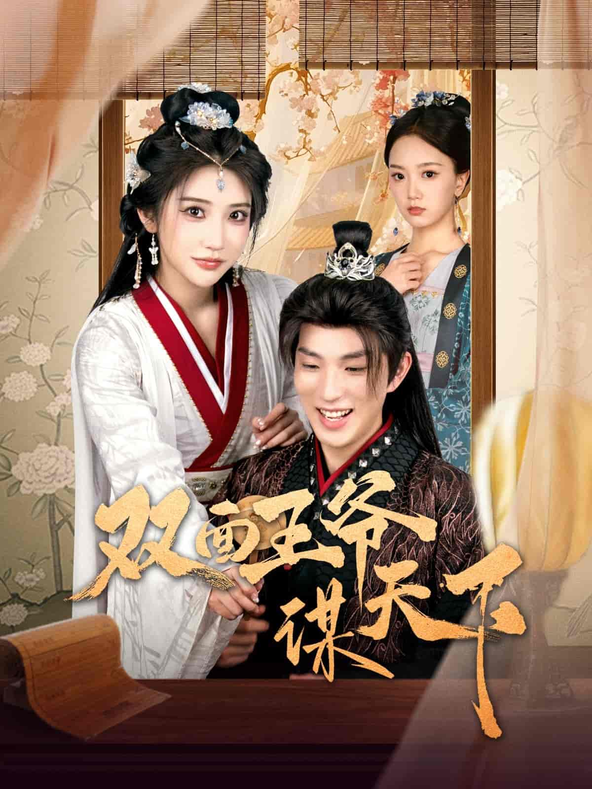 双面王爷谋天下海报