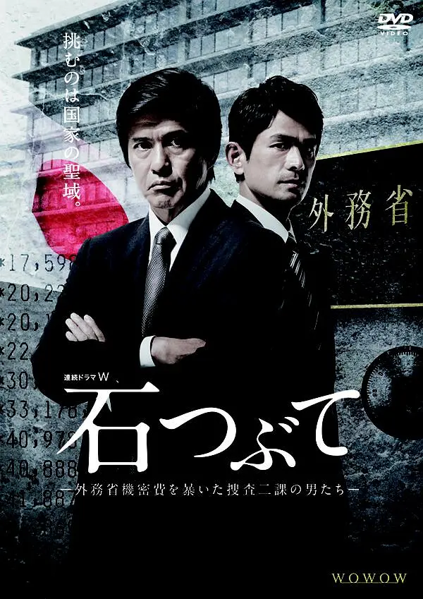 砾石海报