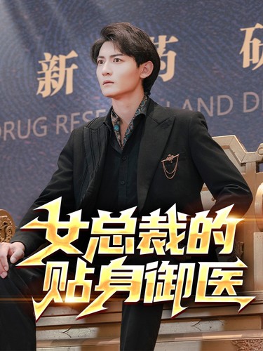 女总裁的贴身御医海报