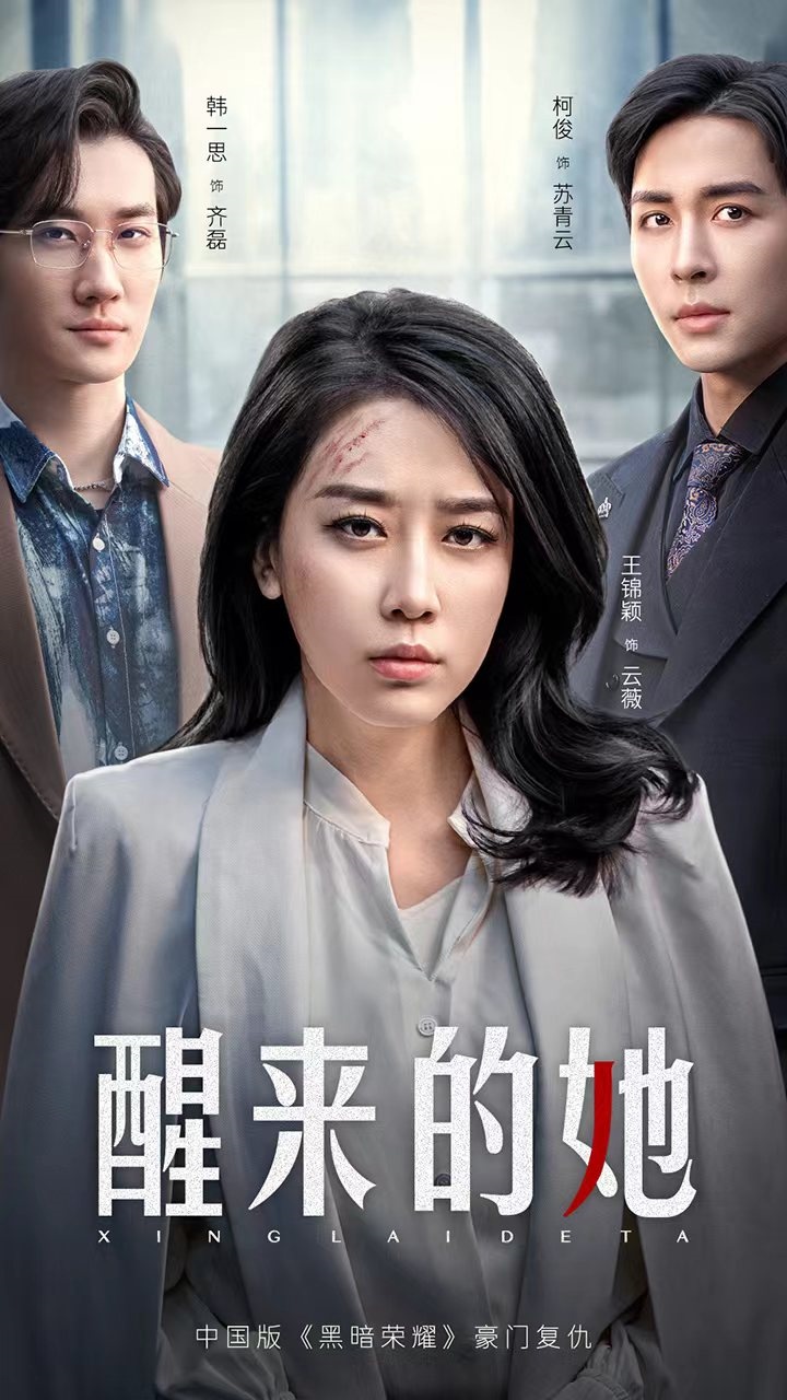 醒来的她海报