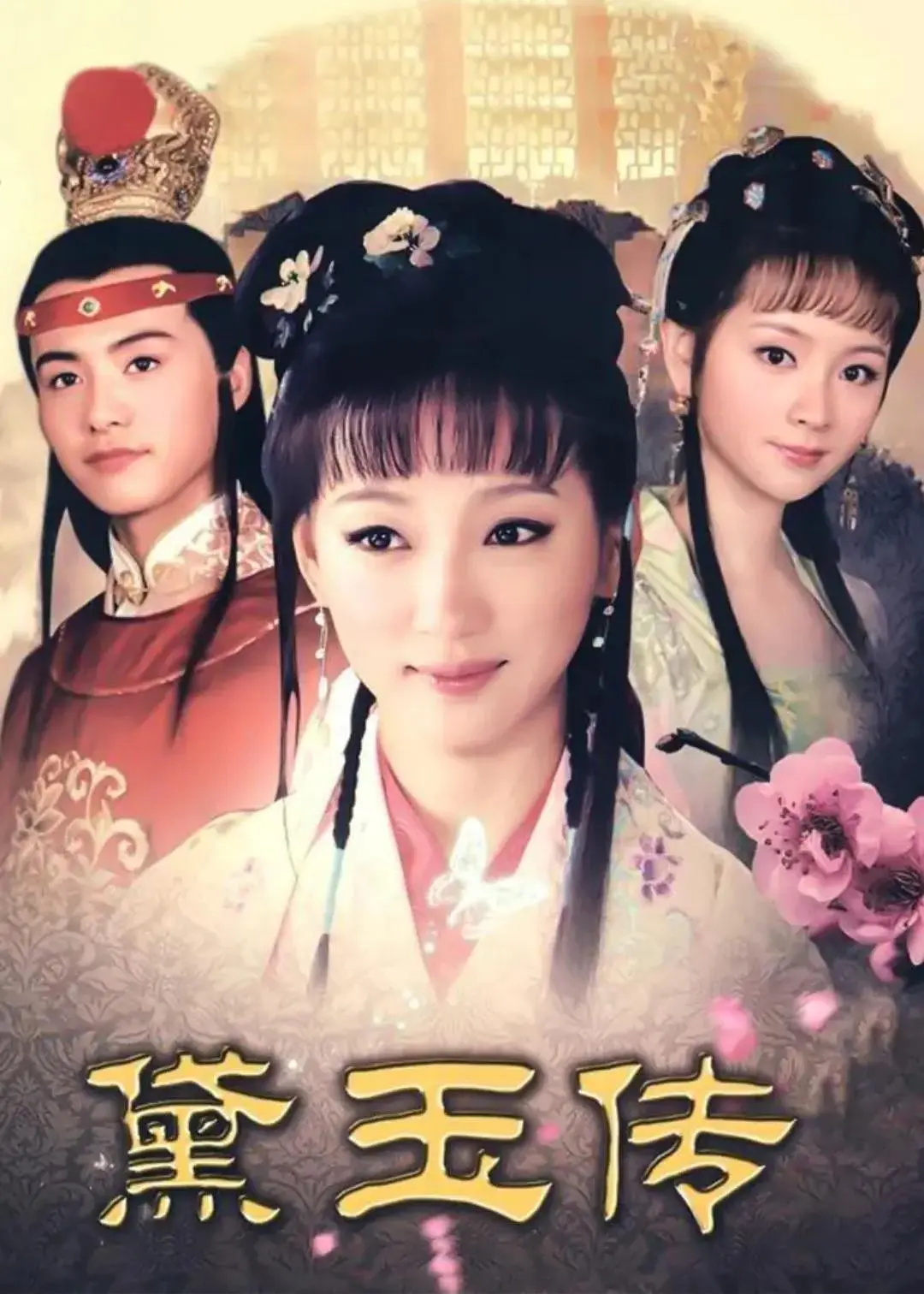黛玉传海报
