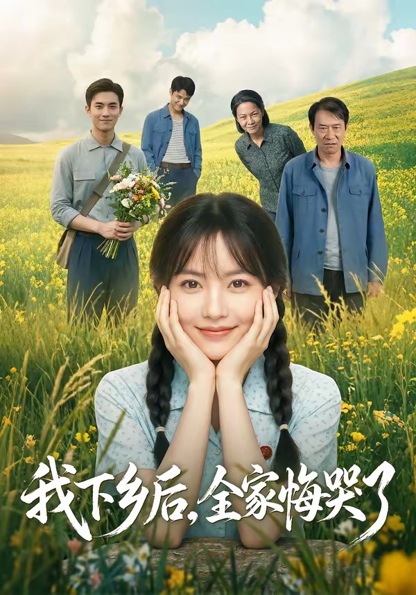 我下乡后，全家悔哭了海报