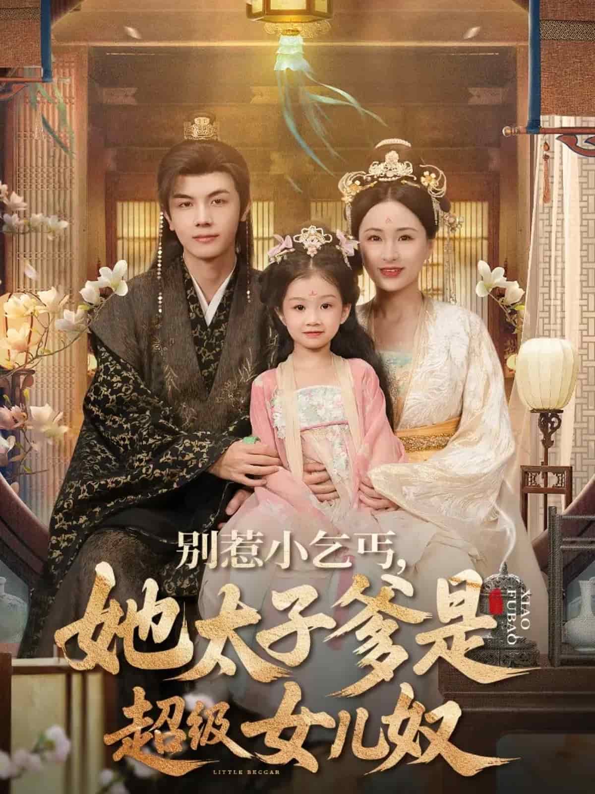 别惹小乞丐她太子爹是超级女儿奴海报