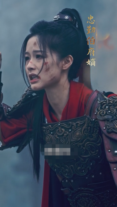 将军夫人不好惹海报