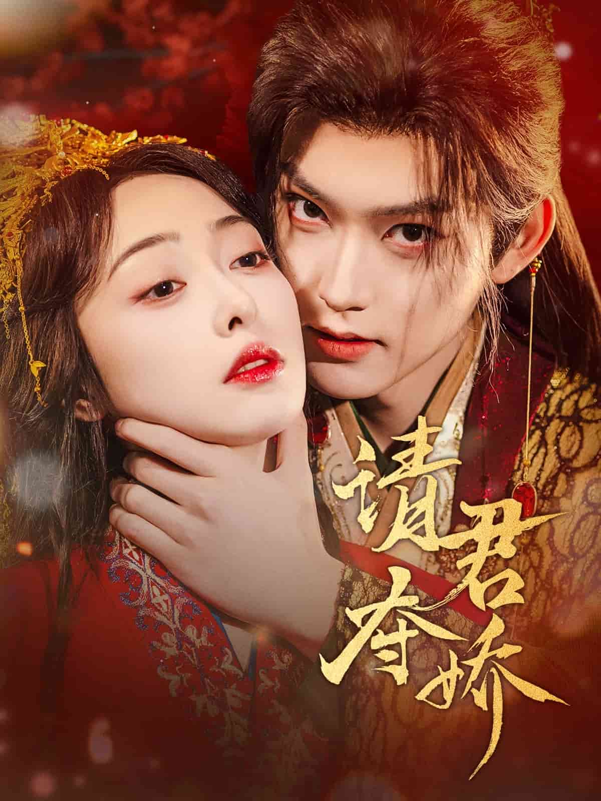 请君夺娇海报
