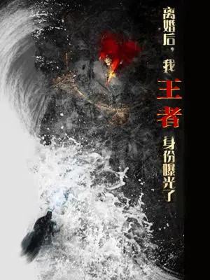 离婚后，我王者身份曝光了海报