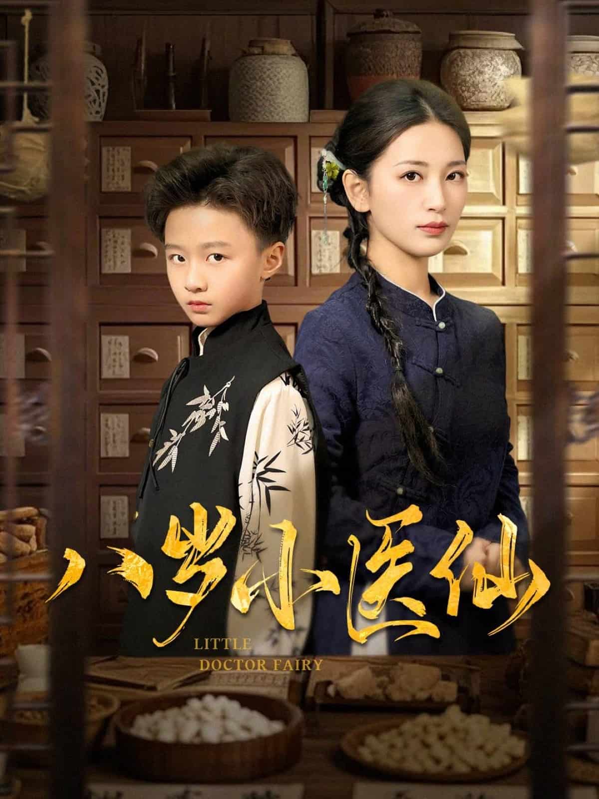 八岁小医仙海报