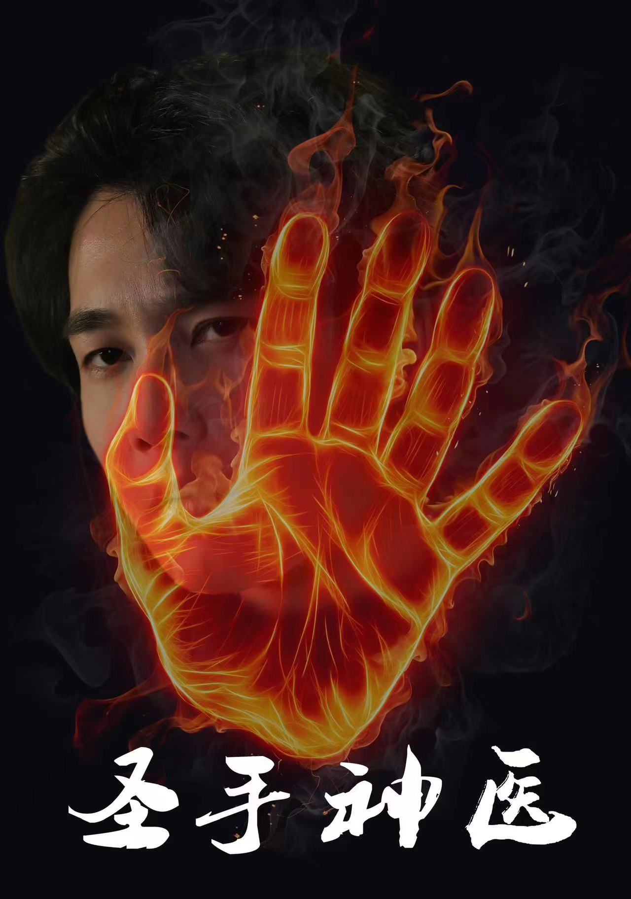 圣手神医海报