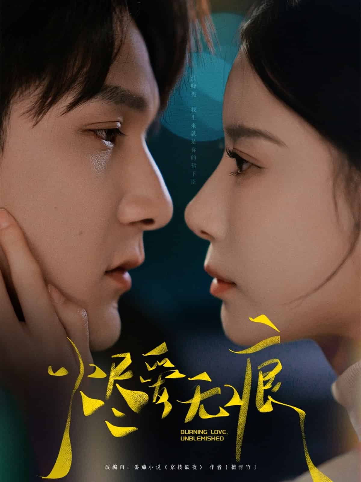 烬爱无痕海报