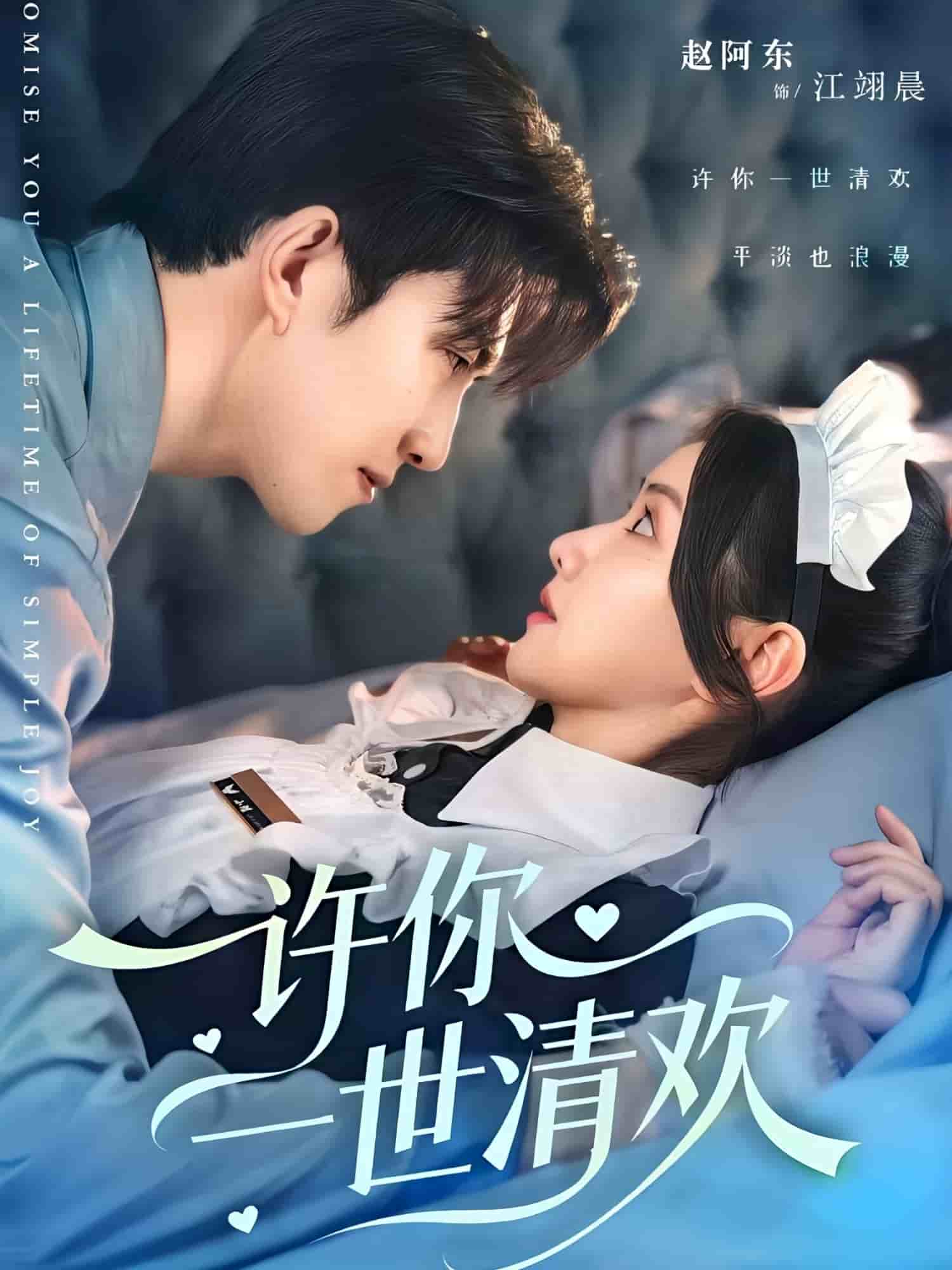 许你一世清欢海报