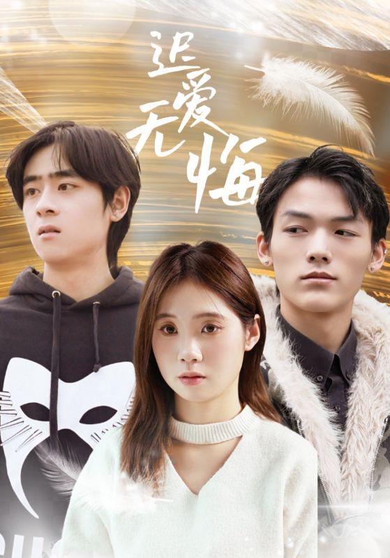 迟爱无悔海报