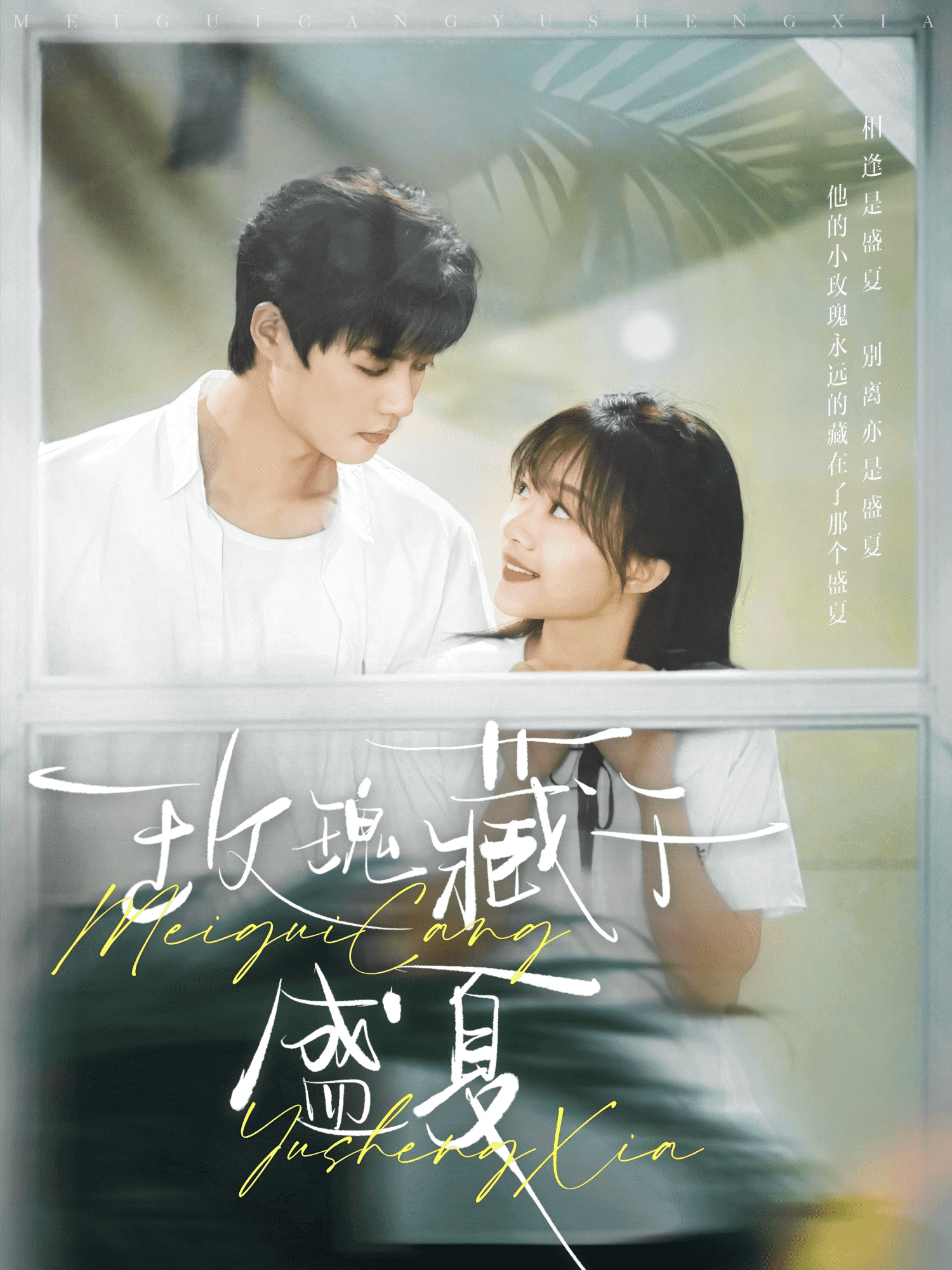 玫瑰藏于盛夏海报