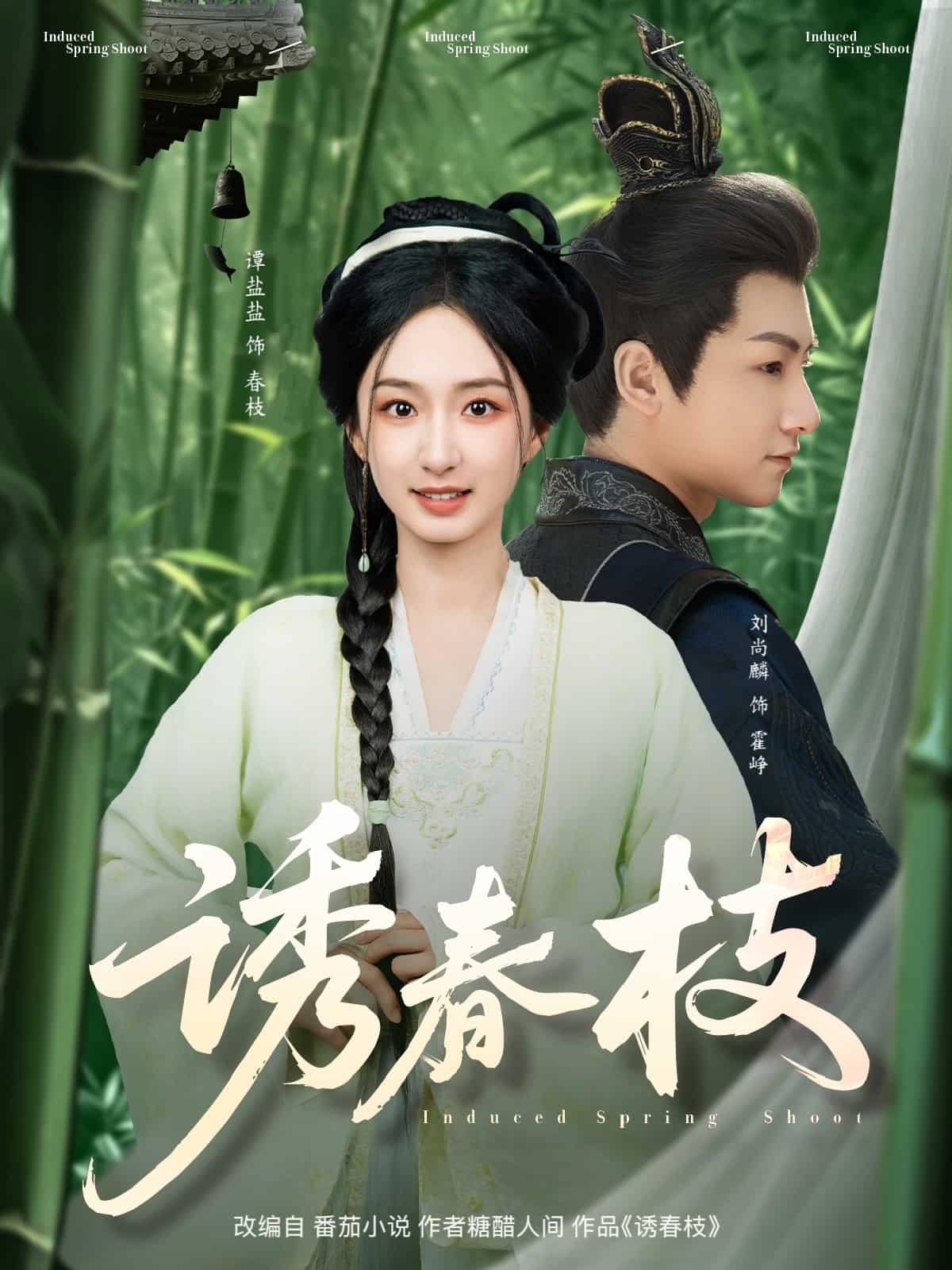 诱春枝海报