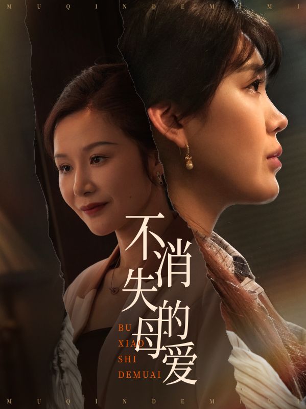 不消失的母爱海报