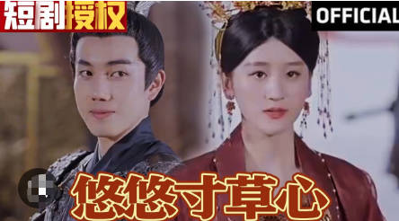 悠悠寸草心海报