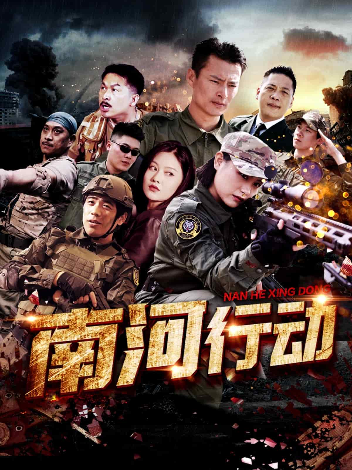 南河行动海报
