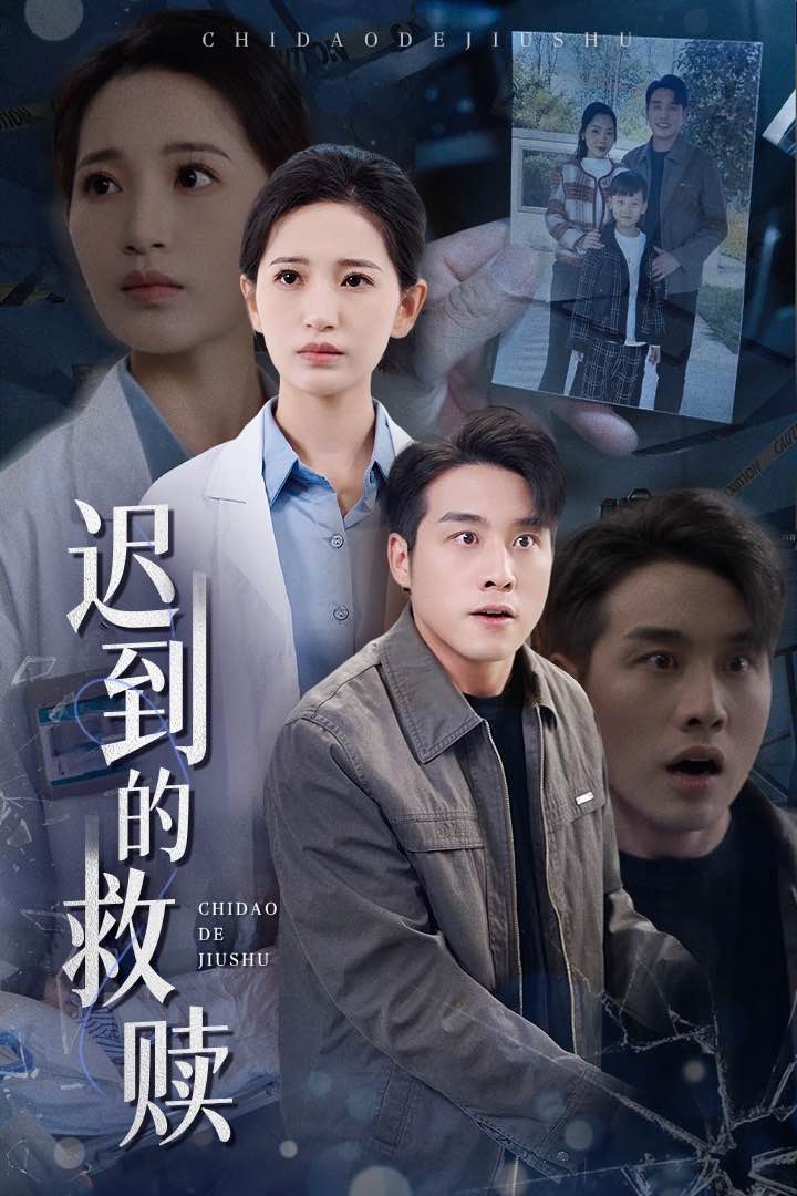 迟到的救赎海报