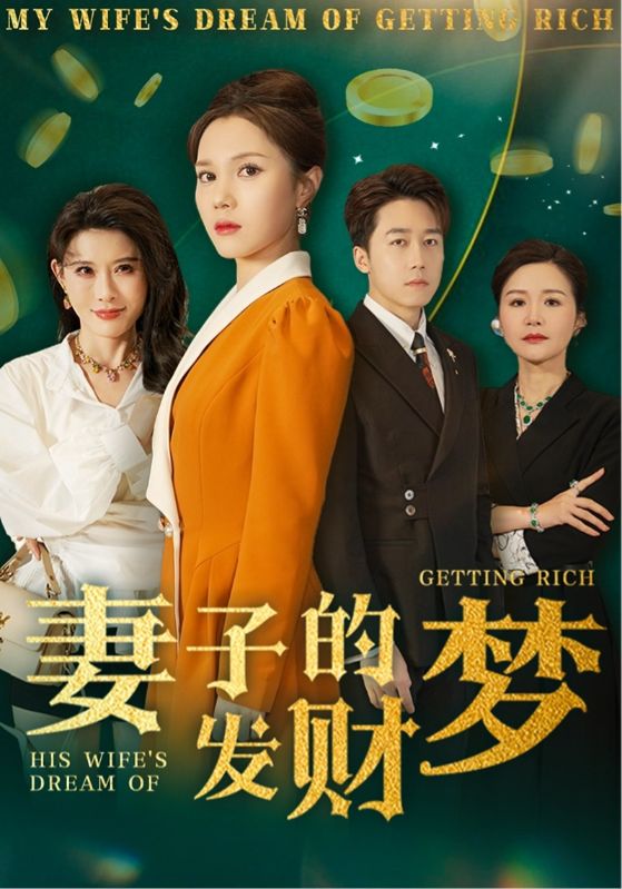 妻子的发财梦海报