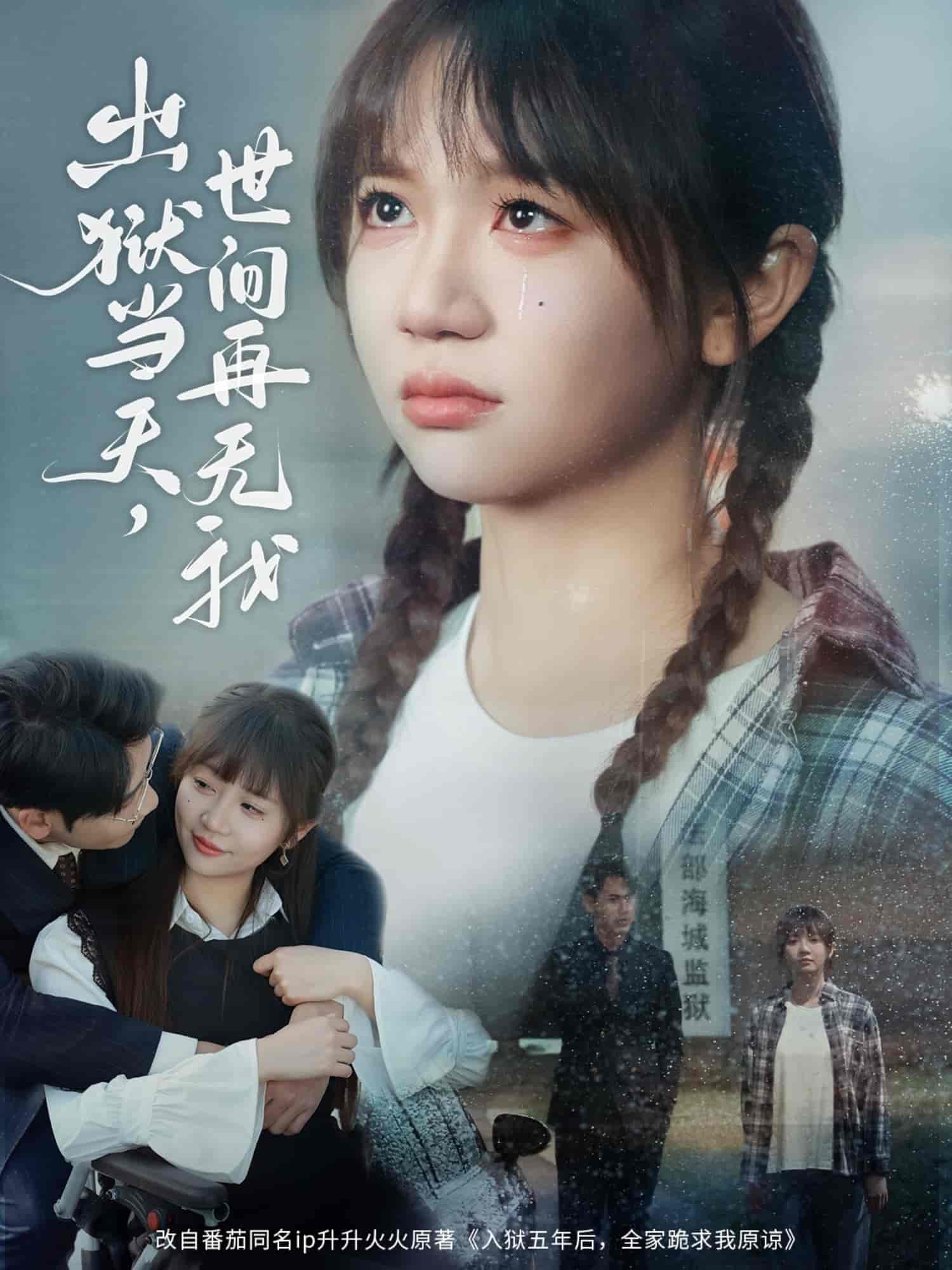 出狱当天，世间再无我海报