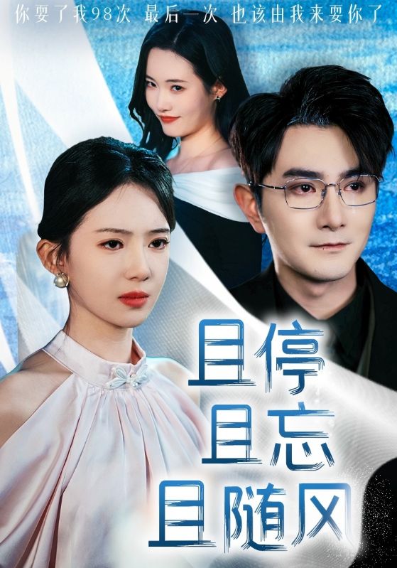 且停且忘且随风海报