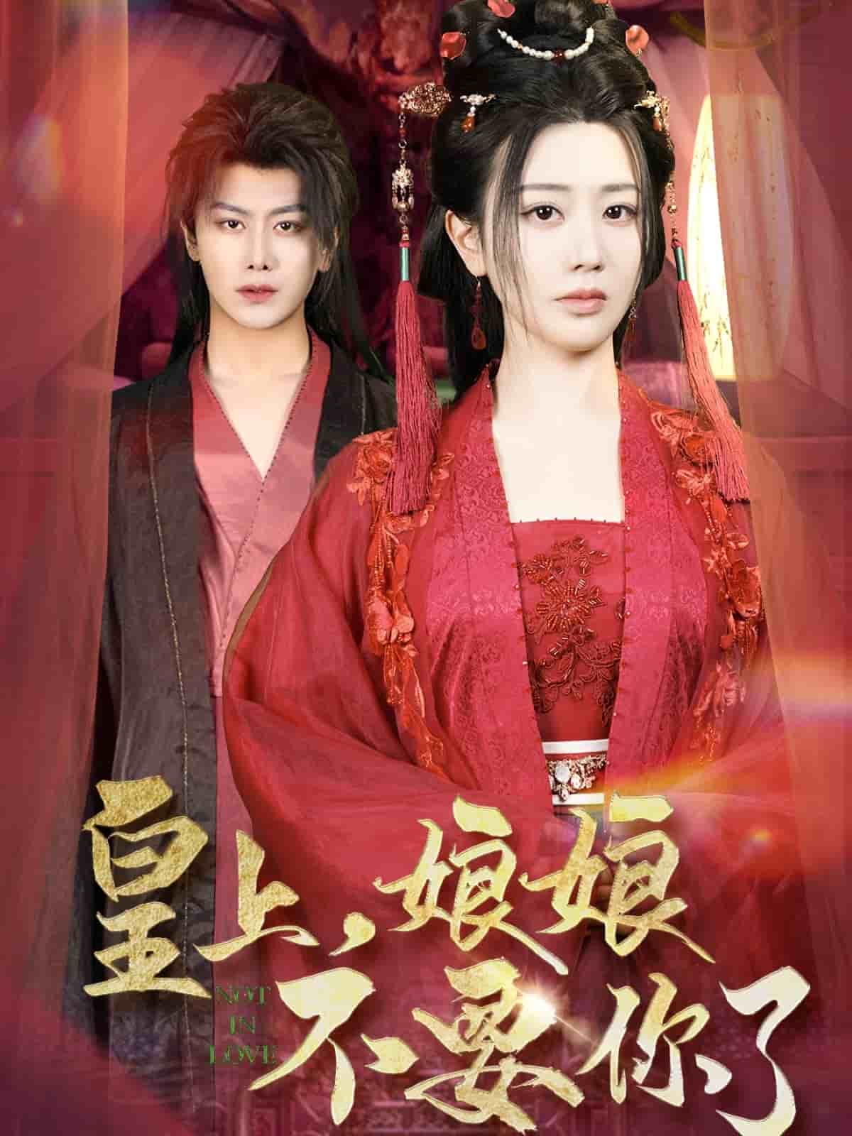 皇上，娘娘不要你了海报