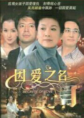 因爱之名海报
