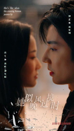 她似晚风过境时海报