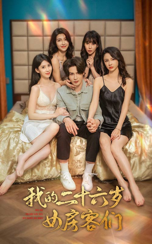 我的二十六岁女房客们海报
